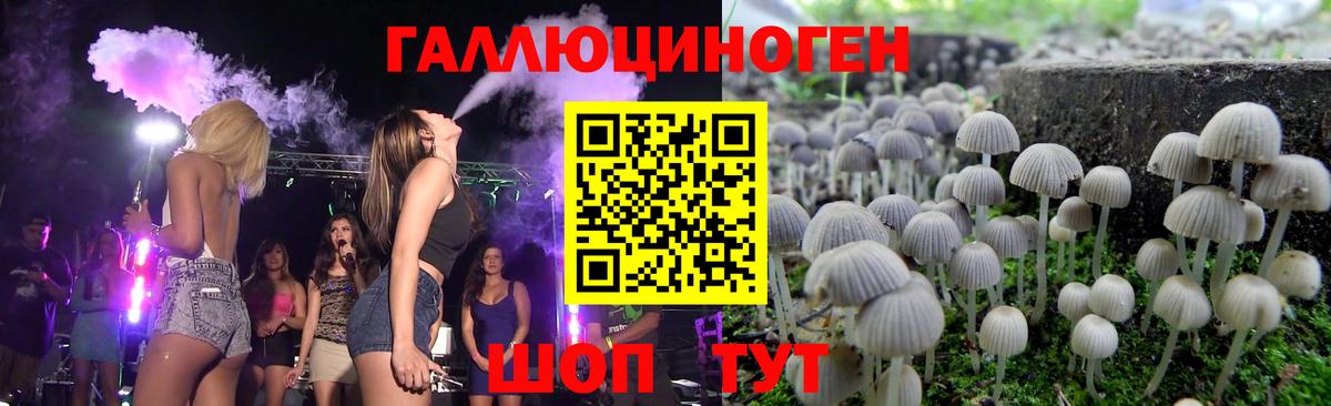 Галлюциногенные грибы MAGIC MUSHROOMS  закладки  Качканар  Вход с VPN 